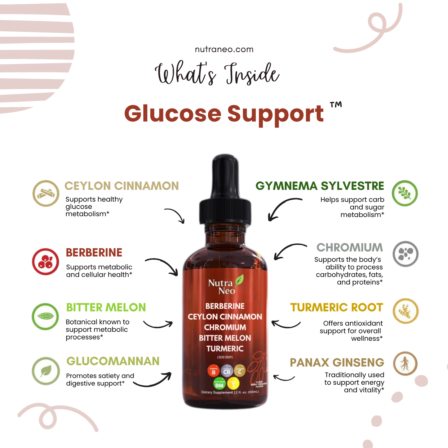 Natural Support for Balanced Glucose & Lasting Energy